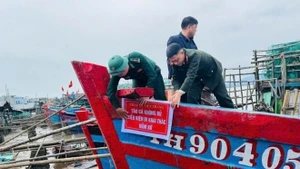 Les autorités des provinces côtières contrôlent les activités des navires de pêche qui ne respectent pas les exigences en matière d'opérations de pêche. Photo : VNA.