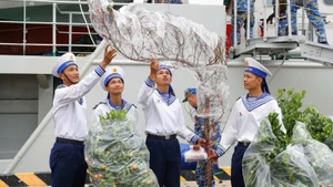 De jeunes soldats auprès des pêchers et des kumquatiers du printemps, accueillant le Têt 2026. Photo : NDEL.