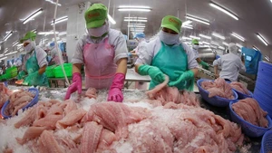 Le secteur vietnamien des produits halieutiques ambitionne d’atteindre 11,5 milliards de dollars d'exportations en 2026. Photo : VNA.