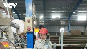 Nguyen Thi Lien, ouvrière de la zone industrielle de Hoang Long, province de Thanh Hoa. Photo : VOV