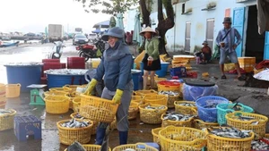 Au port de pêche d'An Thoi, à An Giang (Sud). Photo : VNA.