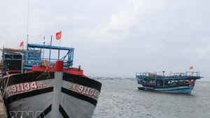 À ce jour, 100 % des navires de pêche sont marqués et numérotés conformément à la réglementation, et leurs informations sont mises à jour dans la base de données nationale des pêches. Photo : VNA.