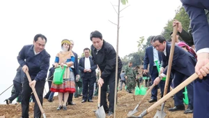 Le président Luong Cuong participe à la plantation d’arbres avec les délégués et la population locale dans le cadre du projet du parc culturel de Lao Cai, dans le quartier de Cam Duong. Photo : VNA.