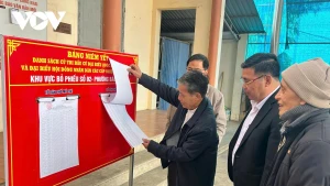 Des habitants de Thai Nguyen vérifient leurs informations personnelles sur les listes électorales au sein de leur quartier résidentiel. Photo : VOV.