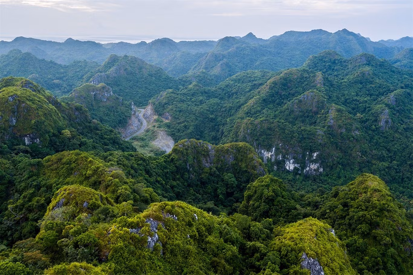 S’étendant sur près de 15 200 hectares, le parc national de Cat Ba constitue un refuge naturel pour une multitude d’espèces animales et végétales. Photo : Vietnamnet.
