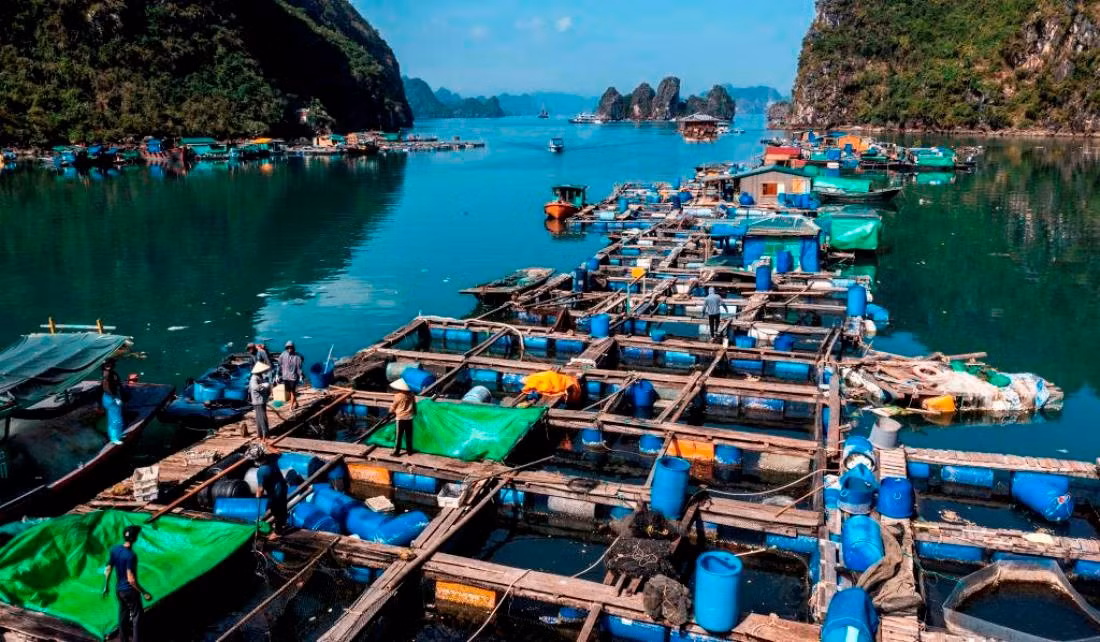 lang-chai-cua-van-ndel.jpg