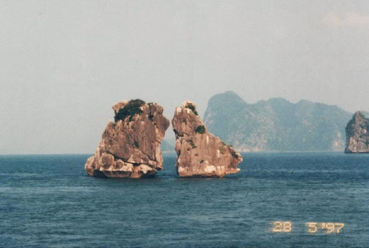 hon-trong-mai.jpg