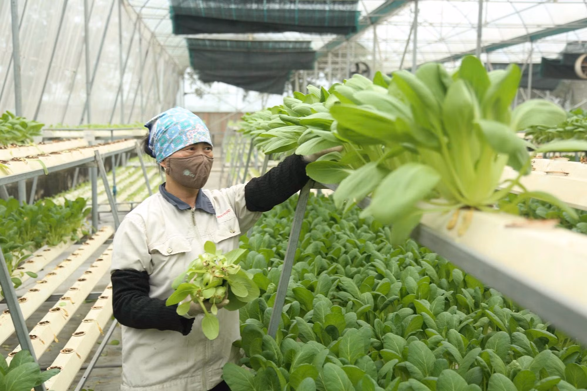 agriculture-hnm.jpg