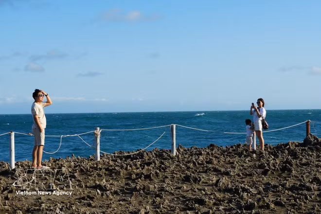 Des touristes prennent des photos pour immortaliser de beaux moments. Photo : VNA.