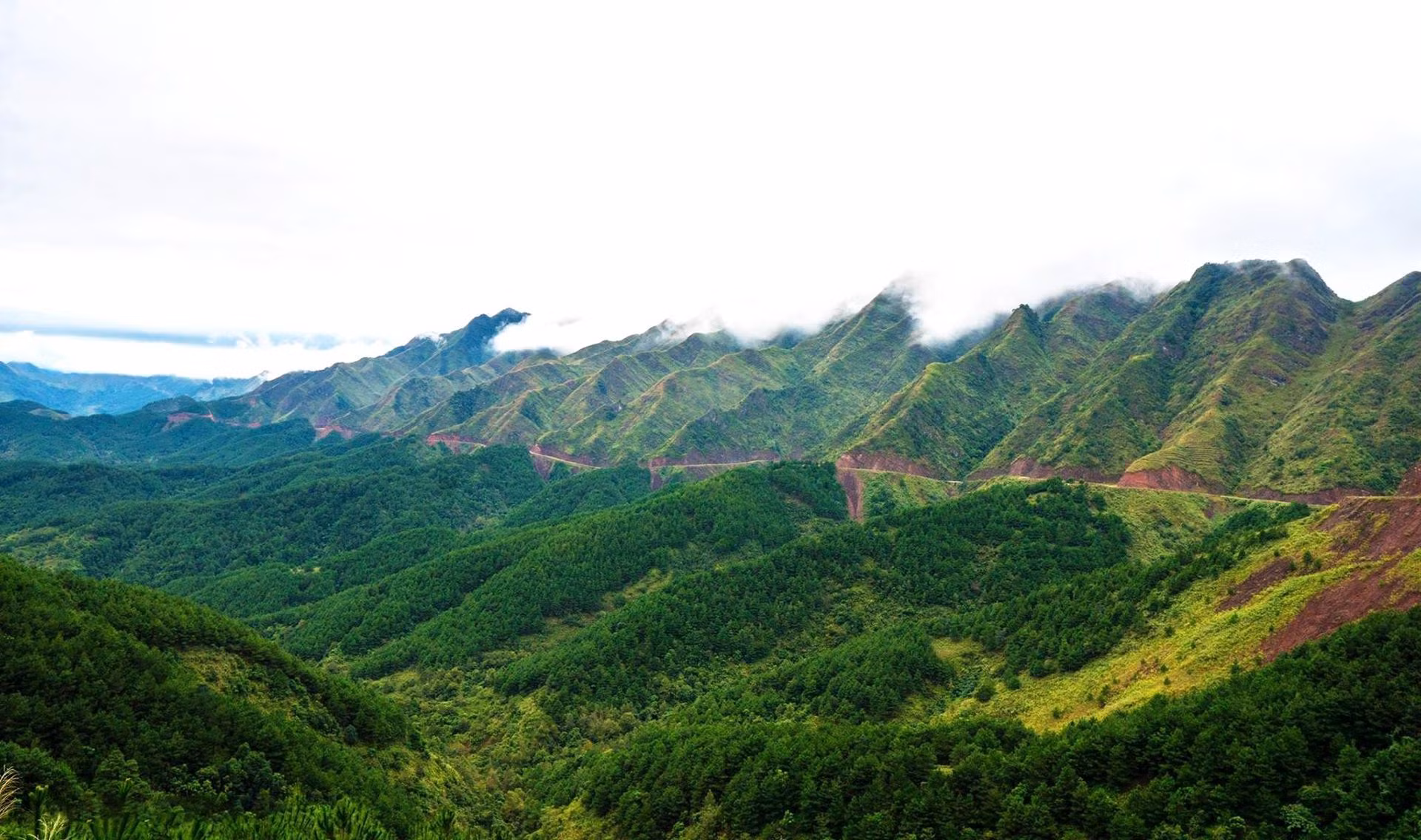 binh-lieu-vne.jpg