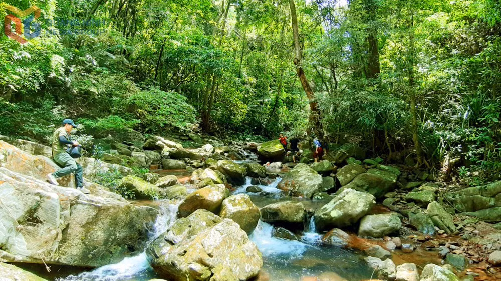 foret-ngan-chi.jpg