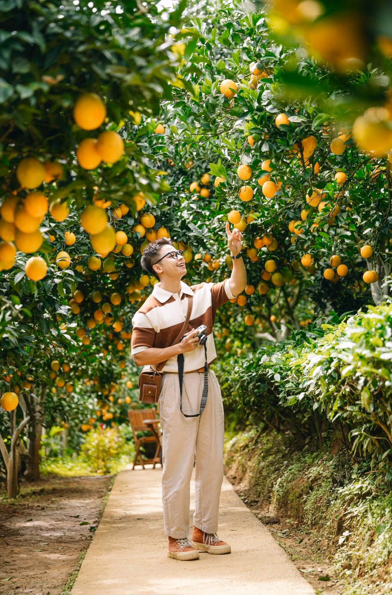 orange-moc-chau.jpg