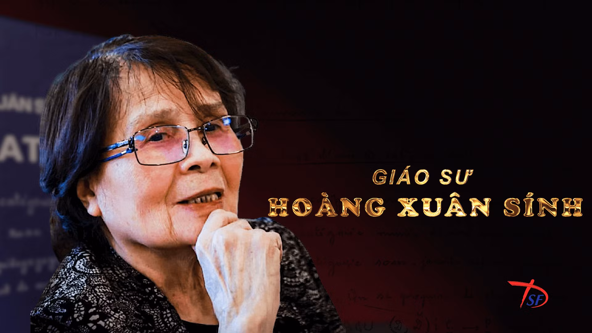 hoang-xuan-sinh-dfs.png