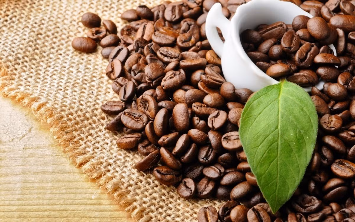 cafe-vgp.jpg