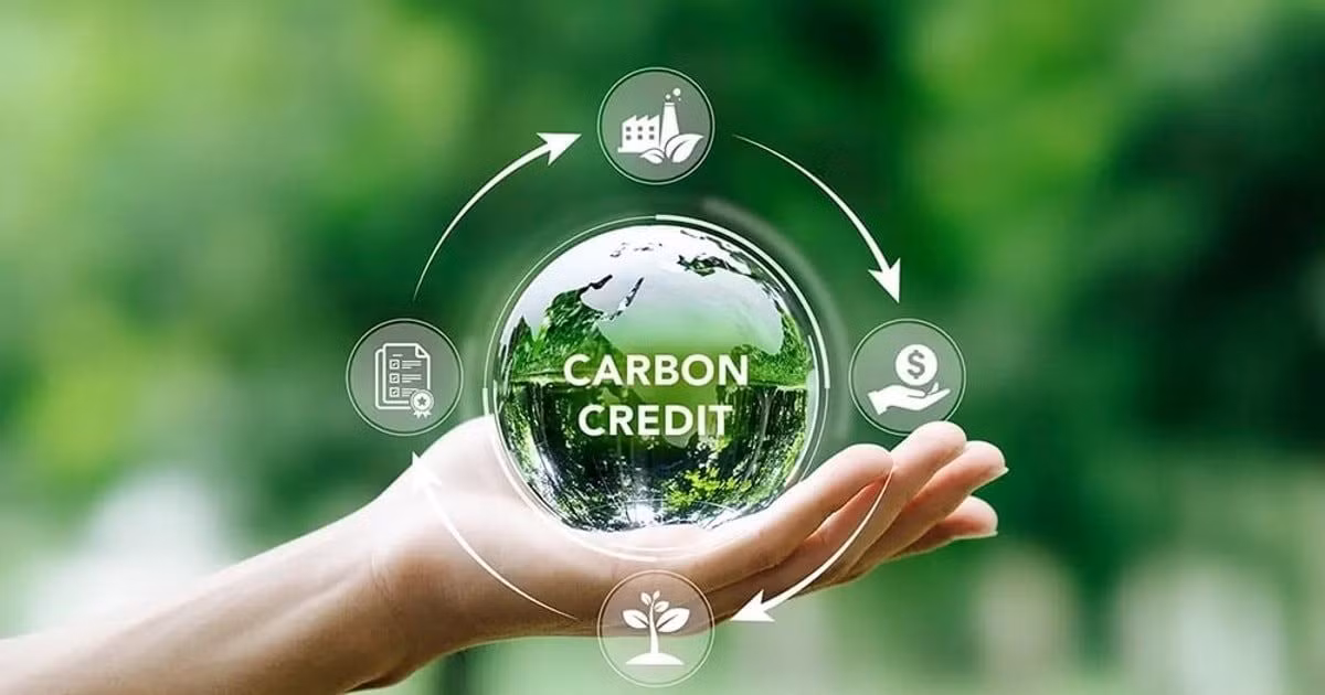 Juin 2026 : plus de 511 millions de tonnes de CO₂e feront leur entrée sur la bourse du carbone