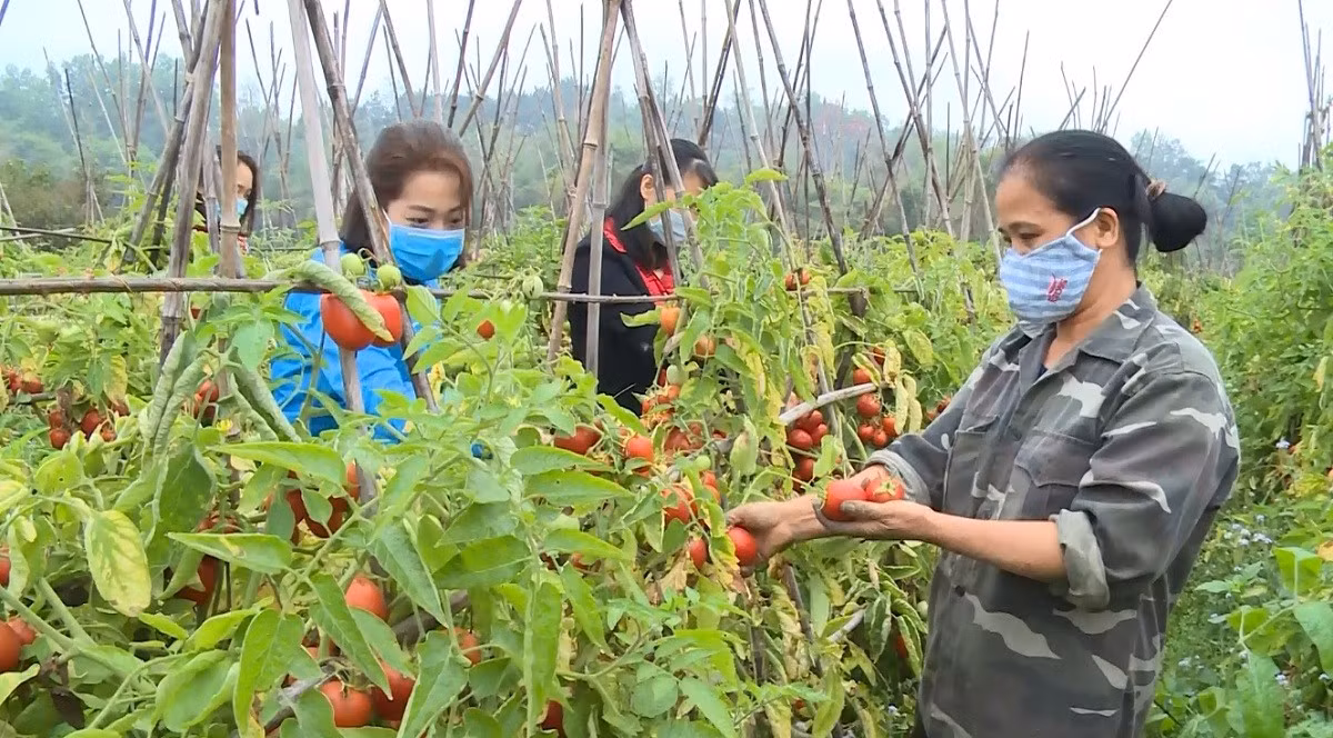 femmes-cao-bang-baodantoc.jpg