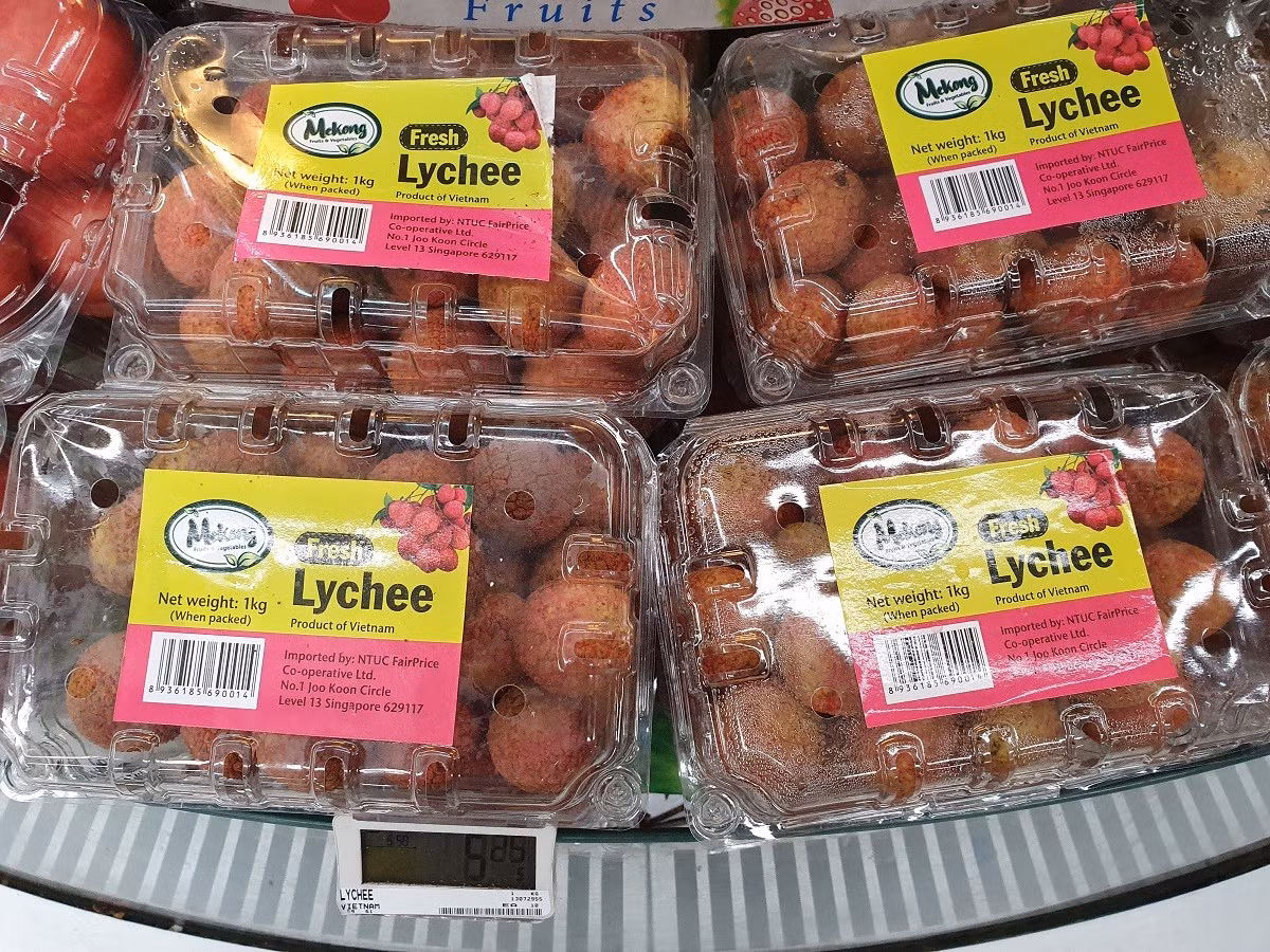 litchi-sing.jpg