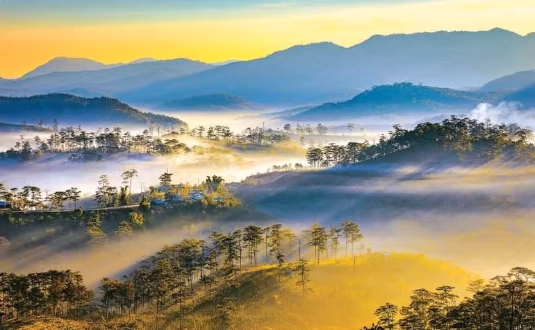 Tu The Duy (Vietnam) – Rosée matinale à K’Long K’Lanh (Morning dew in K’Long K’Lanh).