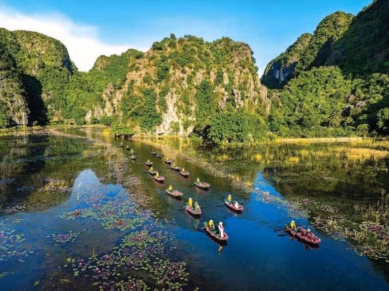 Mai Thanh Chuong (Vietnam) – Tam Coc en saison des nénuphars (Tam Coc in water lily season).