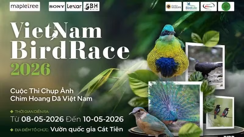 Vietnam BirdRace 2026 – Quand les ailes des oiseaux rapprochent les hommes et diffusent l’amour de la nature