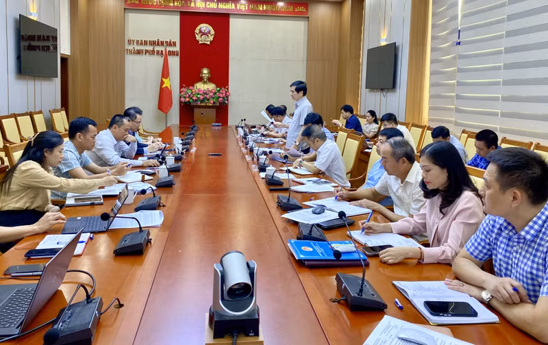 Une séance de travail entre les dirigeants de la ville d’Ha Long et du groupe Thanh Cong. Photo : baoquangning.vn