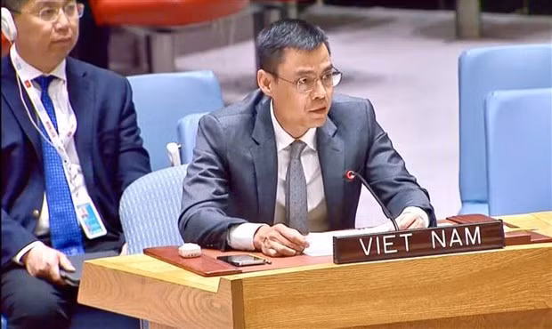 L'ambassadeur Dang Hoàng Giang, chef de la Mission permanente du Vietnam auprès de l'ONU. Photo : VNA.