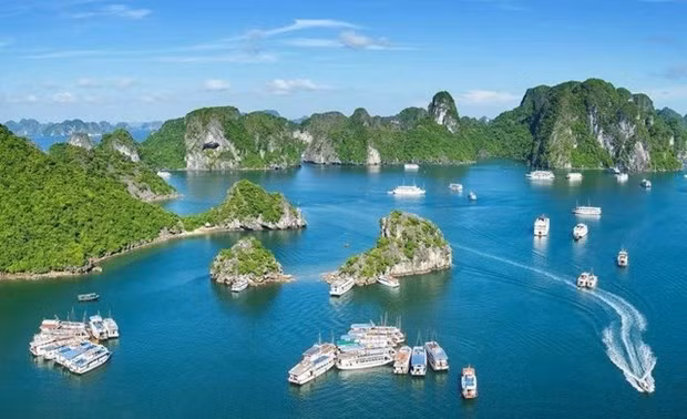 La baie de Ha Long, province de Quang Ninh (au Nord-Est du Vietnam). Photo : VNA.