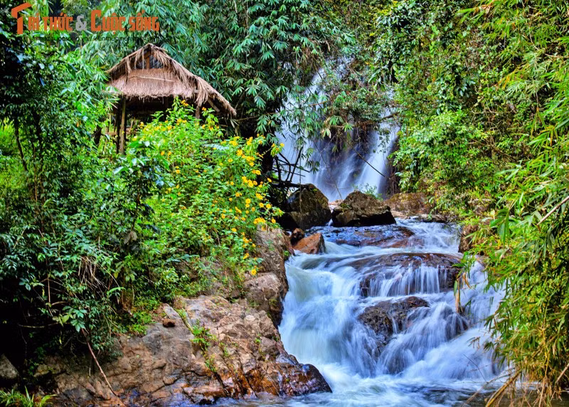 La cascade de Tea Prông.