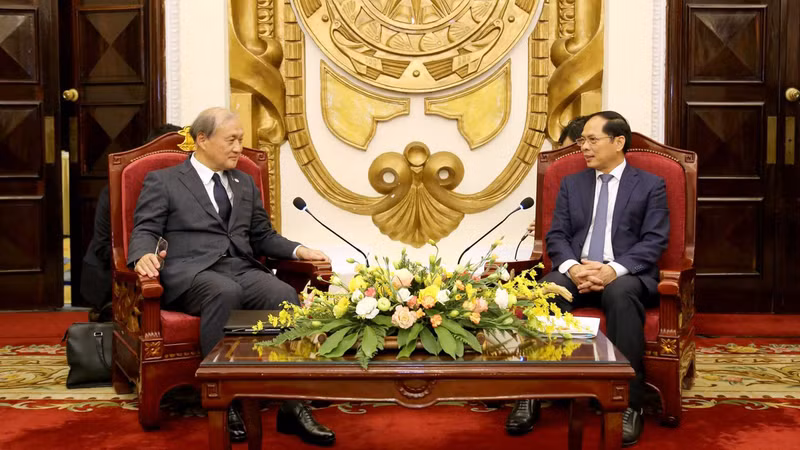 Le ministre des Affaires étrangères, Bùi Thanh Son (à droite) et Akiba Takeo, secrétaire général du Secrétariat à la sécurité nationale du Japon. Photo : baoquocte.vn