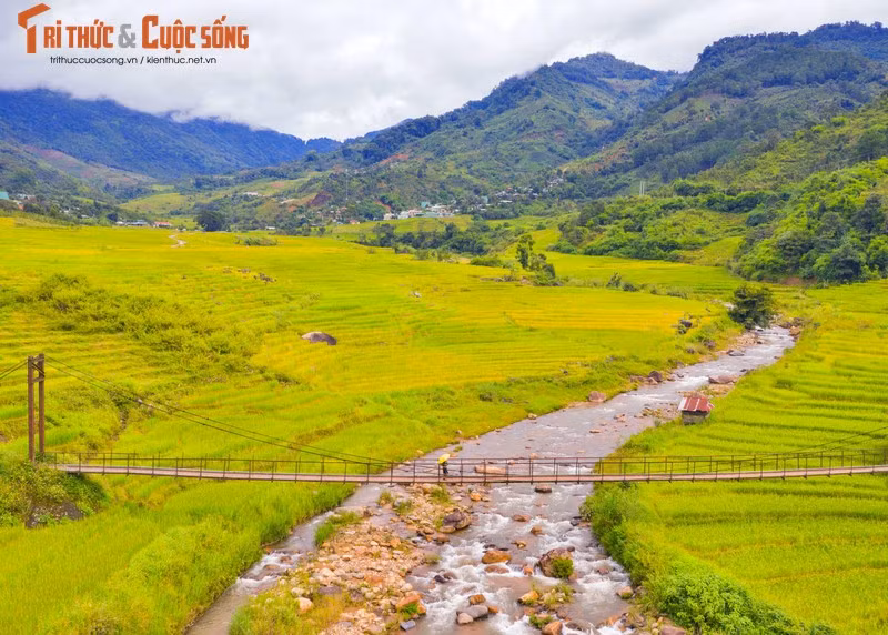 Les montagnes de Ngoc Linh, Ngoc Tu Mang, Ngoc Puok, Ngoc Pang qui ont des altitudes moyennes entre 1 000 m et 2 333 m.
