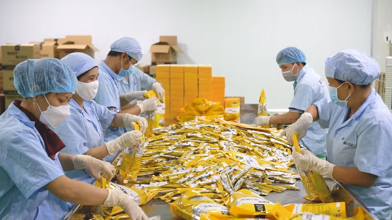 Avec les résultats positifs de la mise en œuvre des ALE, le Vietnam négocie encore activement de nombreux nouveaux accords. Photo : thanhnien:vn