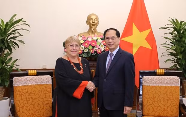 Le ministre des Affaires étrangères Bùi Thanh Son et l'ancienne Présidente chilienne, Michelle Bachelet Jeria. Photo : VNA.
