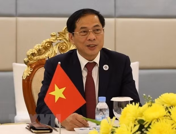 Le ministre vietnamien des Affaires étrangères Bui Thanh Son. Photo : VNA