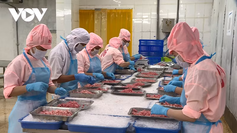 Le Japon a dépassé les États-Unis pour devenir le premier importateur de produits aquatiques vietnamiens au cours du 2e trimestre de l’année, en ayant atteint 713 millions de dollars. Photo : VOV.vn