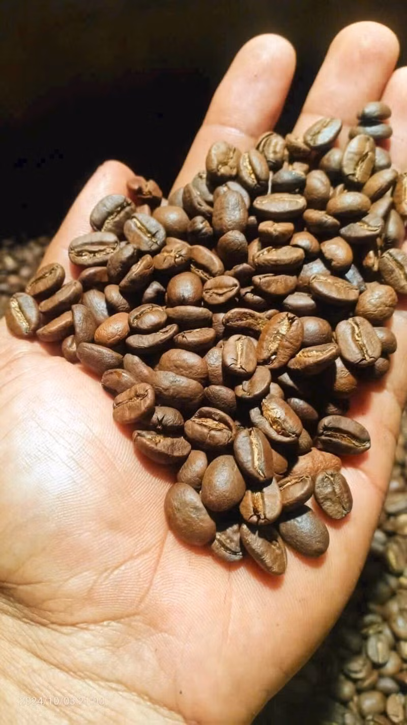Le café de Dak Lak affirme de plus en plus sa marque et sa position sur le marché international. Photo : VNA/CVN