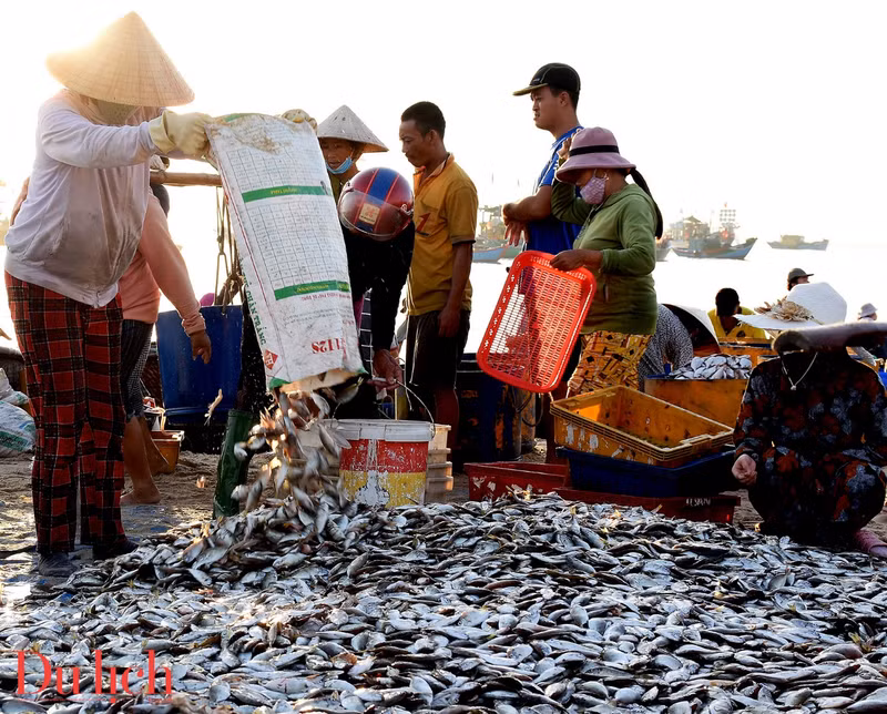 Le marché aux poissons de Tam Tien à Quang Nam ảnh 5