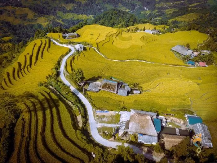 Comme beaucoup d’autres communes des hauts plateaux de la province de Ha Giang, Xa Phin ne cultive qu’une seule récolte de riz par an. L’été, de juin à juillet environ, a lieu l’arrosages et le riz est mûr pour la récolte en septembre.
