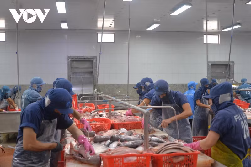 Selon les estimations, la taille de l’économie halal mondiale devrait atteindre 7 700 milliards de dollars en 2025, et 10 000 milliards de dollars en 2028. Photo : VOV.