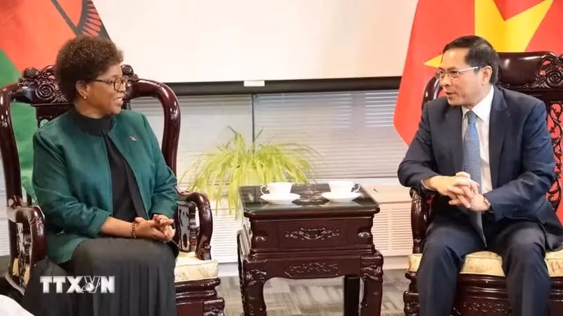 La ministre des Affaires étrangères du Malawi, Nancy Tempo, et le vice-Premier ministre et ministre vietnamien des Affaires étrangères, Bui Thanh Son. Photo : VNA.