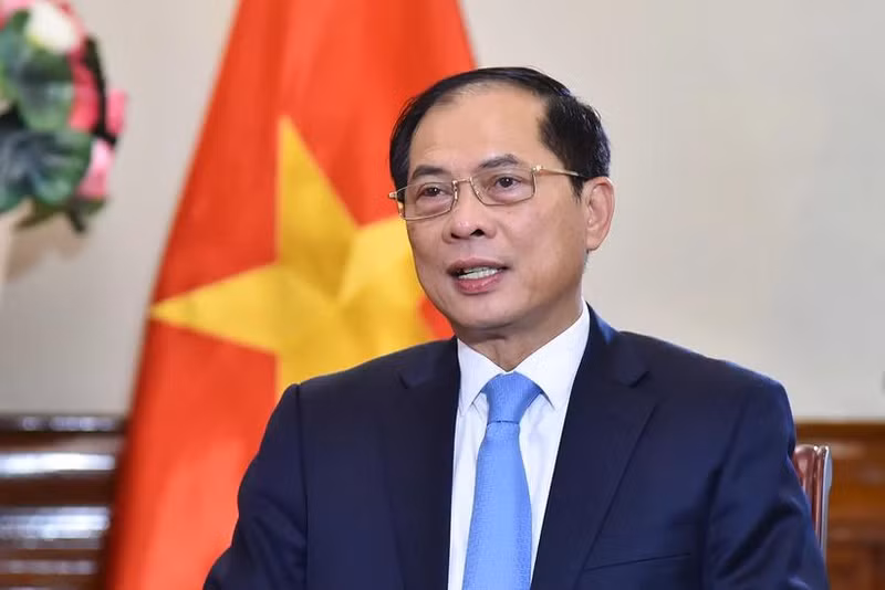 Le vice-Premier ministre et ministre des Affaires étrangères, Bui Thanh Son. Photo : VNA