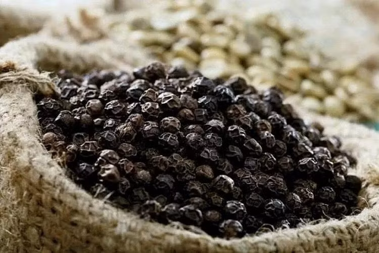 Au cours des 15 premiers jours de novembre 2024, le Vietnam a exporté 8 082 tonnes de poivre ayant une valeur de 55,4 millions de dollars. Photo : congthuong.vn