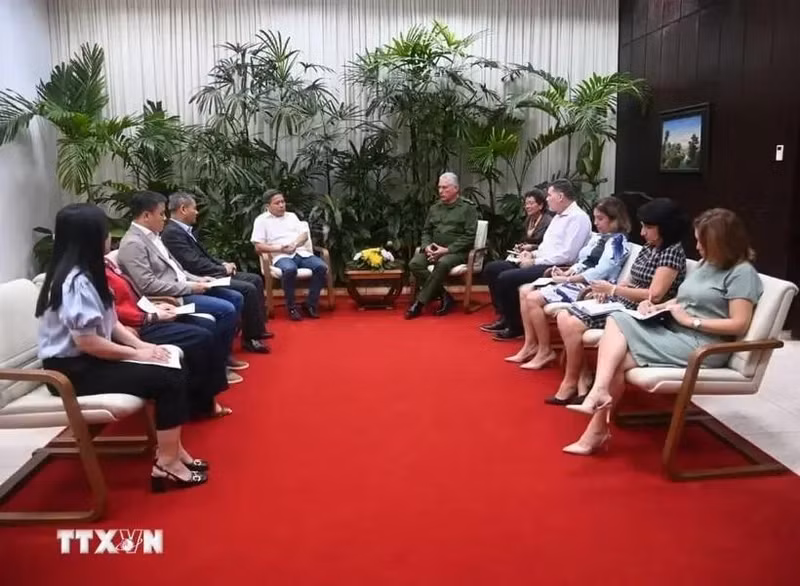 Le président cubain Miguel Díaz-Canel rencontre le directeur général du groupe GELEX et président du conseil d'administration du groupe de construction Viglacera Corporation JSC, Nguyên Van Tuân. Photo : VNA.