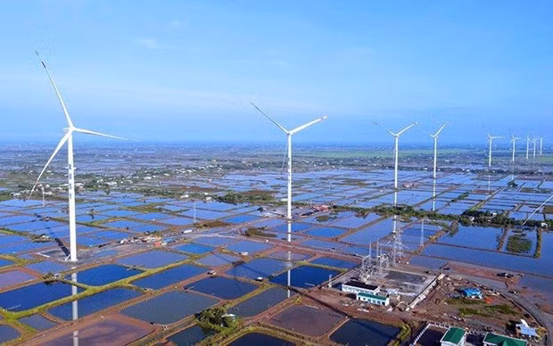 Le Vietnam dispose de nombreuses politiques pour répondre au changement climatique. Photo : tainguyenmoitruong.vn
