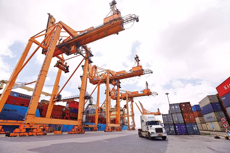 L’empreinte du Vietnam dans la chaîne d’approvisionnement mondiale en matières premières est de plus en plus nette, puisque jusqu’à 53 milliards de dollars de produits agricoles ont été vendus dans le monde. Photo : baodautu.vn