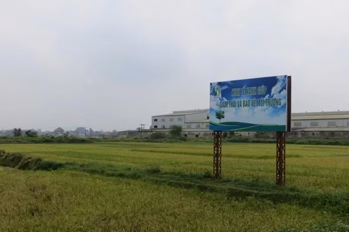 L'agriculture « Net Zero » aide les producteurs non seulement à optimiser les ressources, à réduire les engrais et l'eau dans les cultures agricoles. Photo : daidoanket.vn L'agriculture « Net Zero » aide les producteurs non seulement à optimiser les ressources, à réduire les engrais et l'eau dans les cultures agricoles. Photo : daidoanket.vn