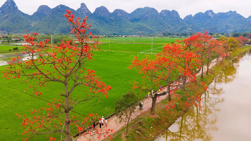 Le district de My Duc est situé à plus de 50 km du centre de la capitale Hanoi, le long de la route nationale 21B, à la frontière des provinces de Hoa Binh et de Ha Nam, avec deux rivières qui le traversent, la rivière Day et la rivière My Ha.