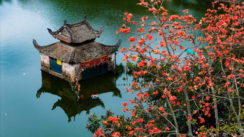 Fin mars, le kapokier fleurit brillamment devant la pagode Thay, reconnue comme « destination touristique nationale spéciale » en 2023. Photo : NDEL.