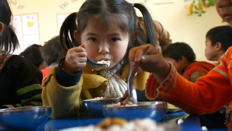 Grâce à cela, les repas des élèves sont variés et équilibrés, garantissant un apport nutritionnel suffisant.