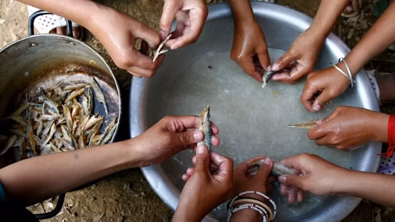 Pour les familles plus aisées, les enfants pouvaient parfois avoir un peu de poisson séché en supplément.