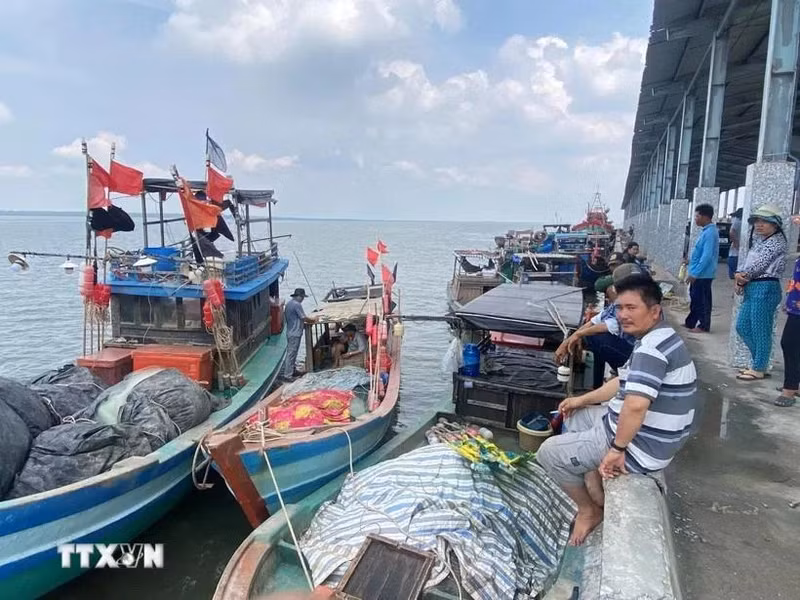 Binh Dinh intensifie sa lutte contre la pêche INN. Photo : VNA.